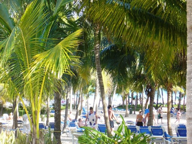 riviera maya cancun playa del carmen riviera maya cancun playa del carmen